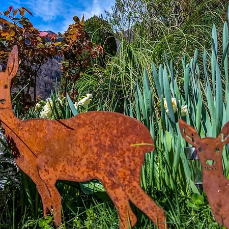 Les Jonquilles Cier-de-Luchon