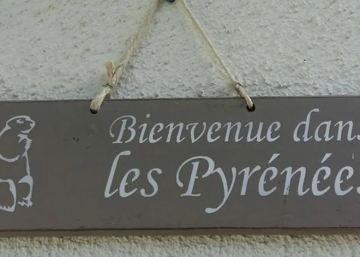 Les Jonquilles Cier-de-Luchon