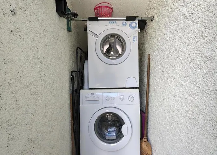 Les Jonquilles * Cier-de-Luchon