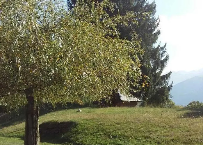 בית נופש Les Jonquilles