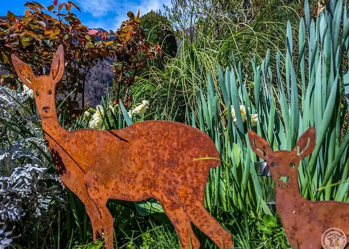 Les Jonquilles Cier-de-Luchon
