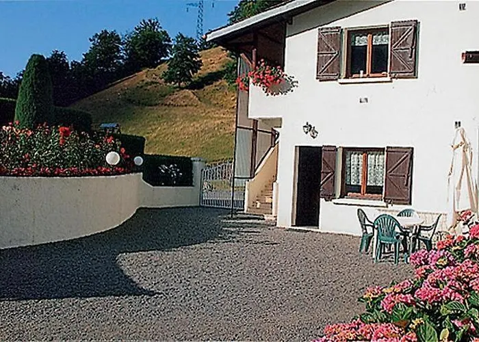 Les Jonquilles Cier-de-Luchon