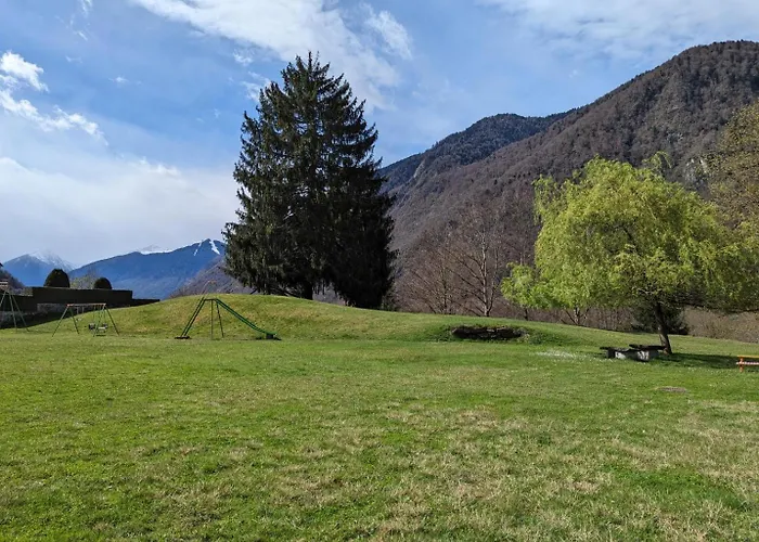 Les Jonquilles Cier-de-Luchon
